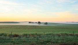 Farmers Fog