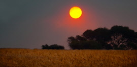 Lincon Bushfire Night