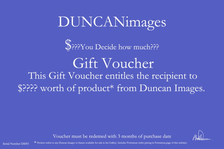 gift voucher for website you decide how much