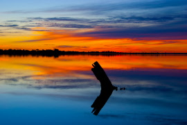 barmera lakeimg_8774