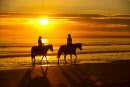 della mum & horsesimg_1033