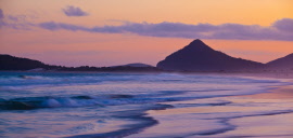evening purpleimg_0278