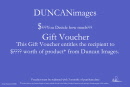 gift voucher for website $you decide how much