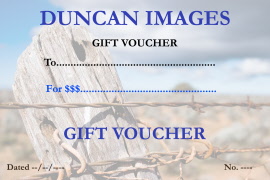 gift voucher for website
