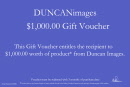 giftvoucher $1,000.00