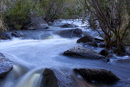 gorge road riverimg_2254