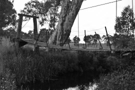 hanging bridge img_0014