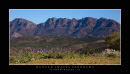 img_0825 flinders panorama with domicile