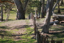 img_7108 woodside fence line24 x 16