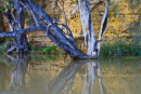 river shotsimg_4666 